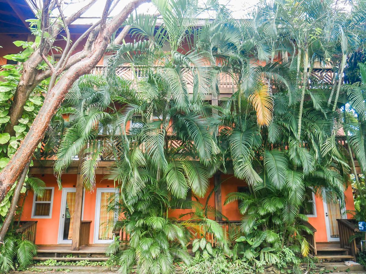 Hotel Posada Las Orquideas,West End Εξωτερικό φωτογραφία