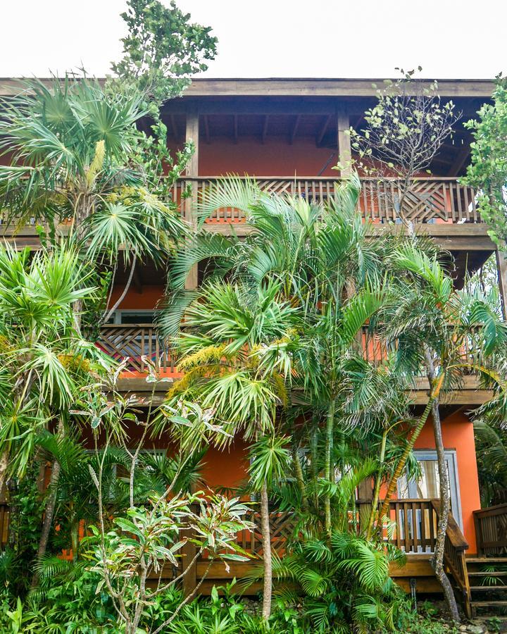 Hotel Posada Las Orquideas,West End Εξωτερικό φωτογραφία