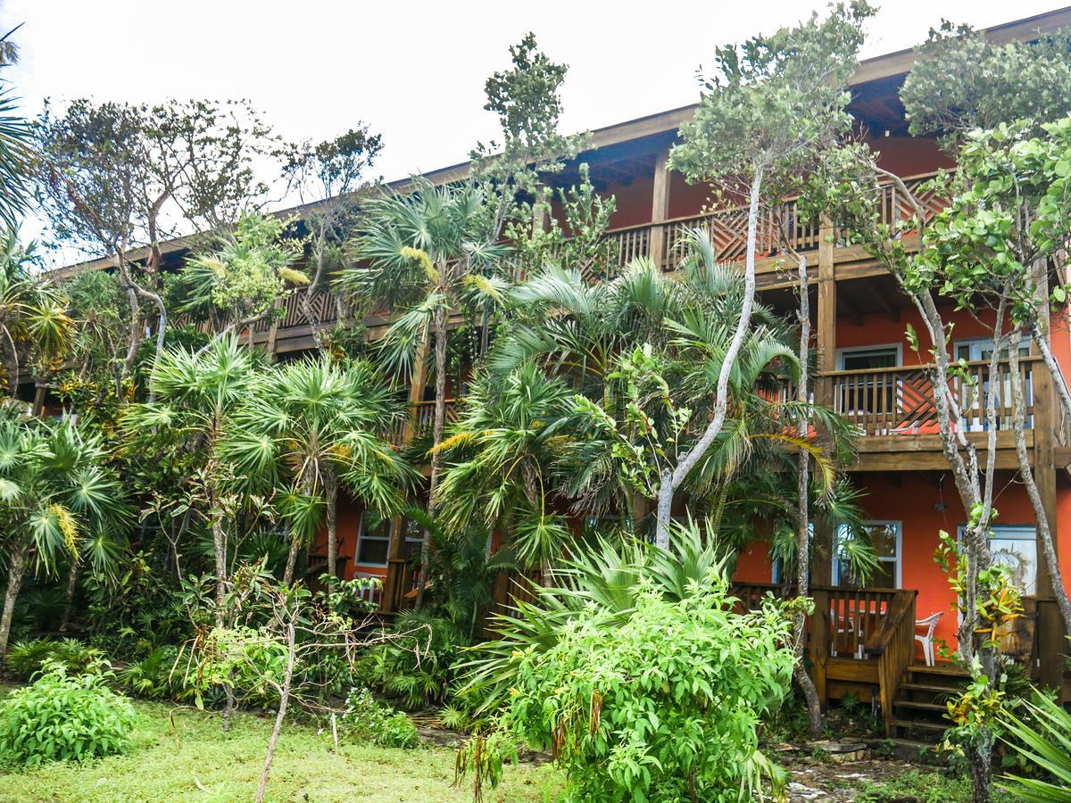 Hotel Posada Las Orquideas,West End Εξωτερικό φωτογραφία