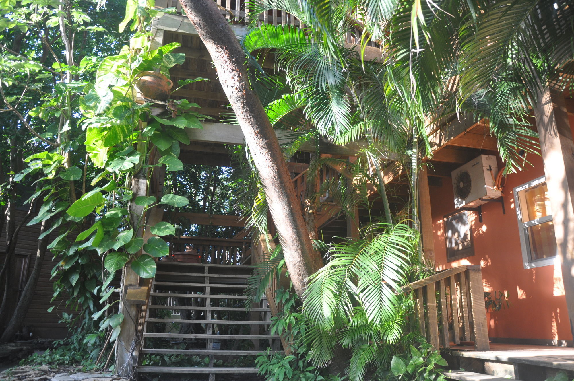 Hotel Posada Las Orquideas,West End Εξωτερικό φωτογραφία