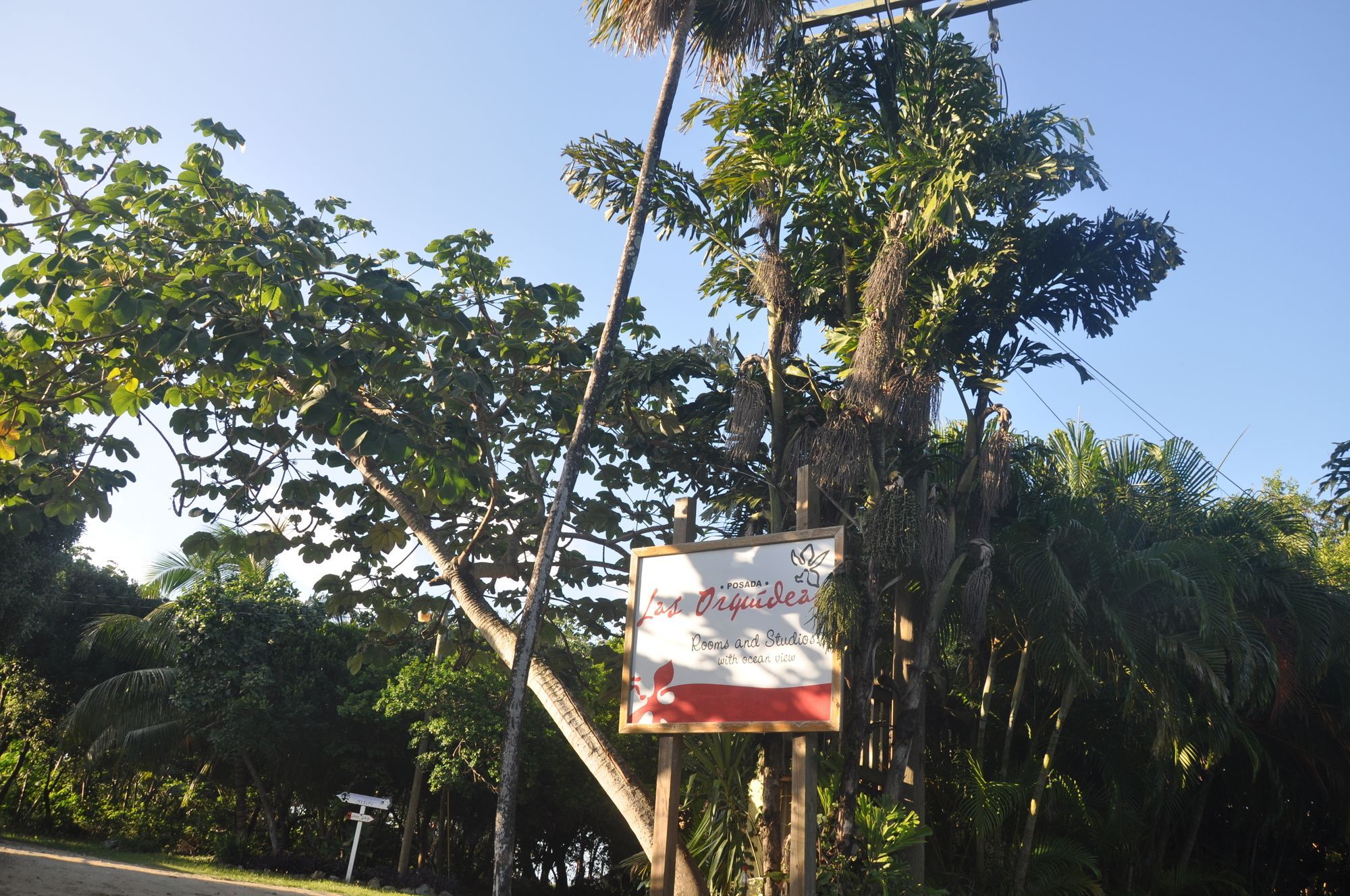 Hotel Posada Las Orquideas,West End Εξωτερικό φωτογραφία